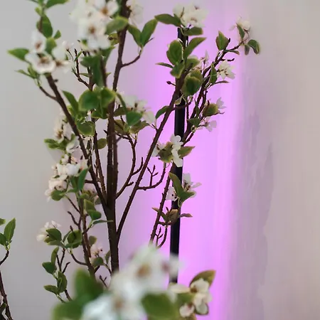 Place Appartamento *